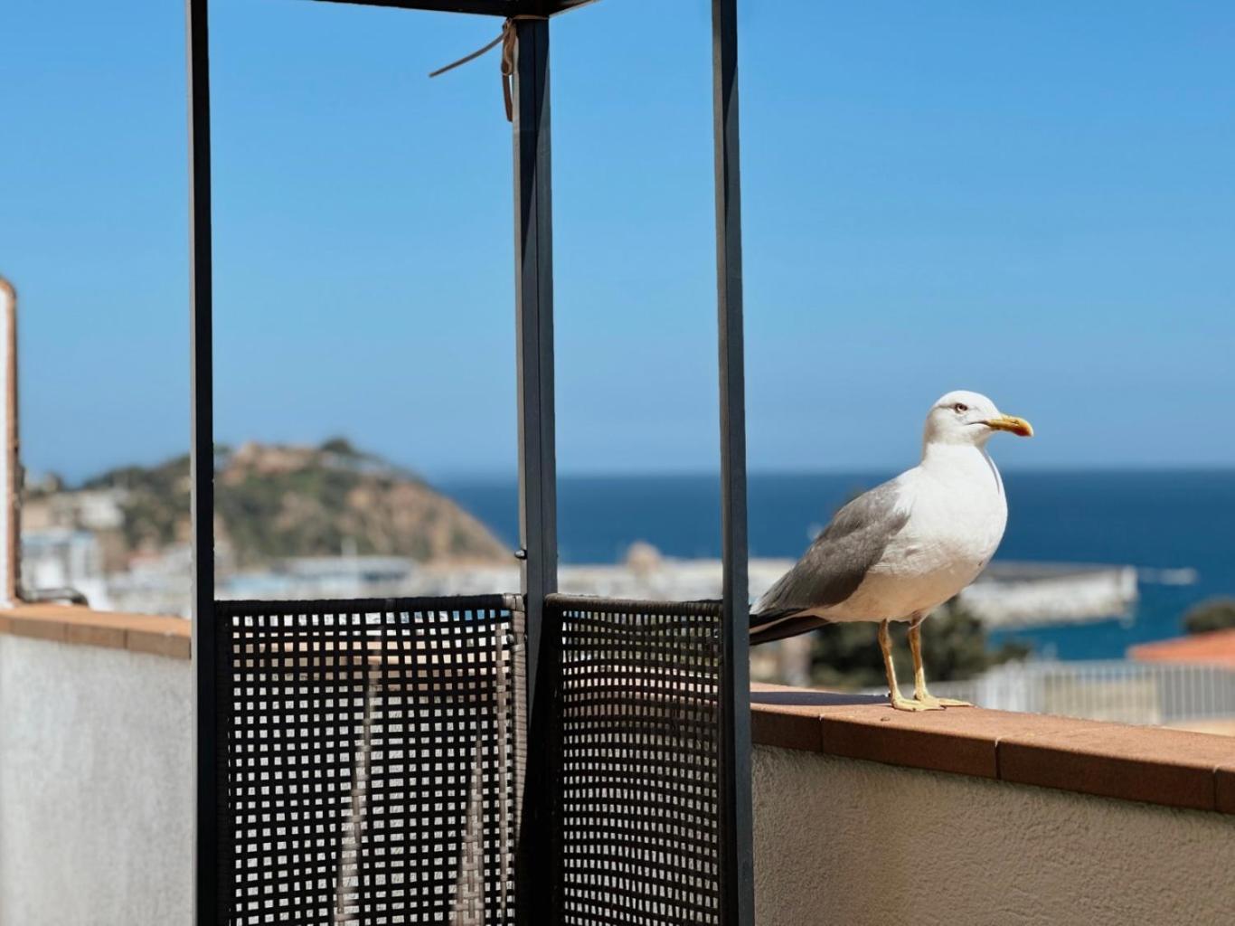 Atico Con Vistas Al Mar A Un Paso Del Centro Leilighet Blanes Eksteriør bilde